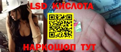 спайс Гусев