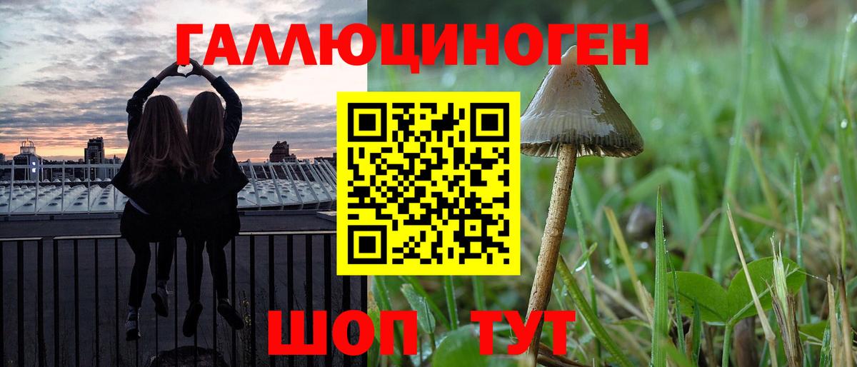 Псилоцибиновые грибы Psilocybe  Вход с VPN  Михайловка 